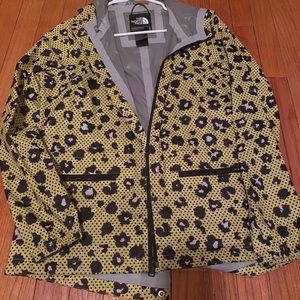 The north face jacket